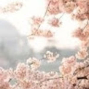 Meet your Posher, Macayla